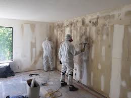 Why You Should Choose Our Mold Remediation Services in Kingston Estates, NJ